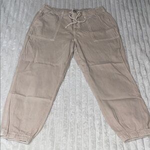 American Eagle Jogger | Size 14 Short